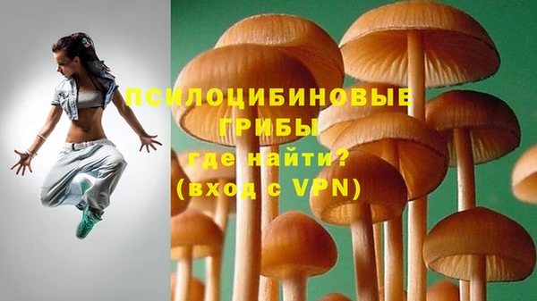 твердый Ростов