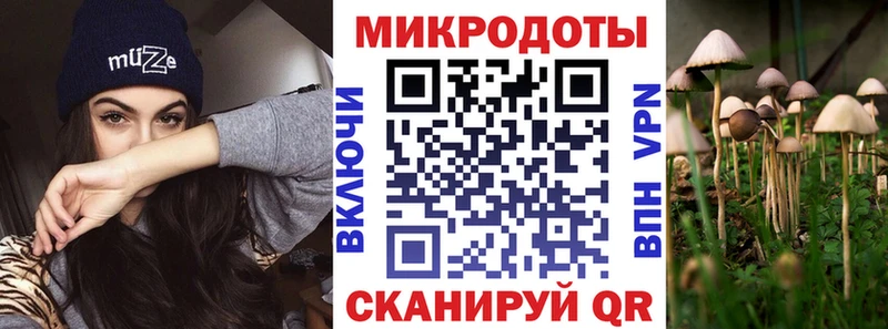 ОМГ ОМГ маркетплейс  наркота  Харовск  Галлюциногенные грибы GOLDEN TEACHER 
